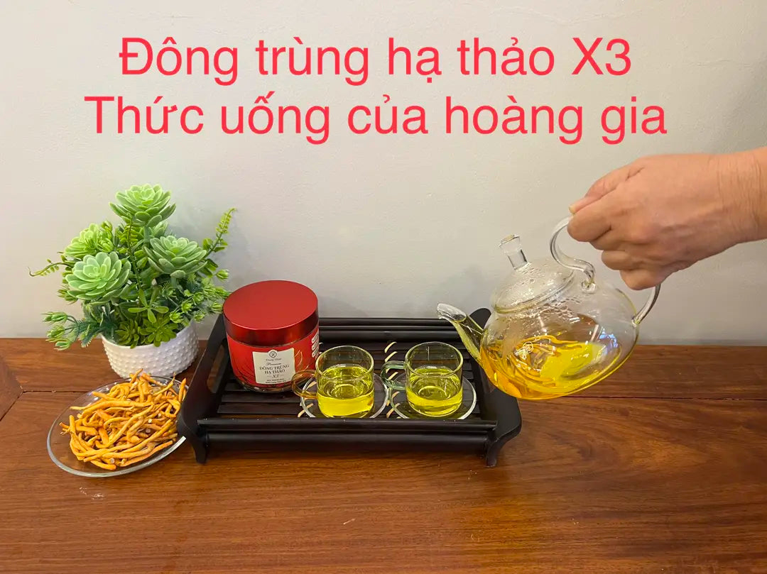 Đông Trùng Hạ Thảo X3 Premium